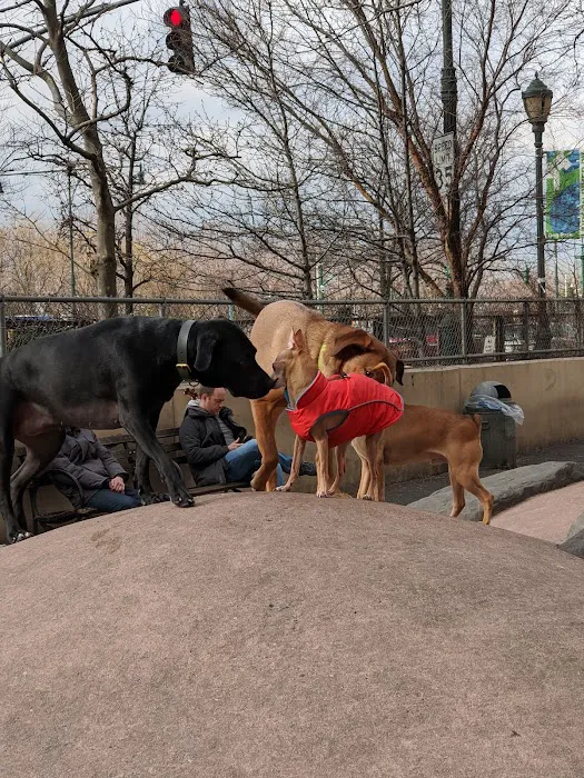 Chelsea Waterside Dog Park Picture 7