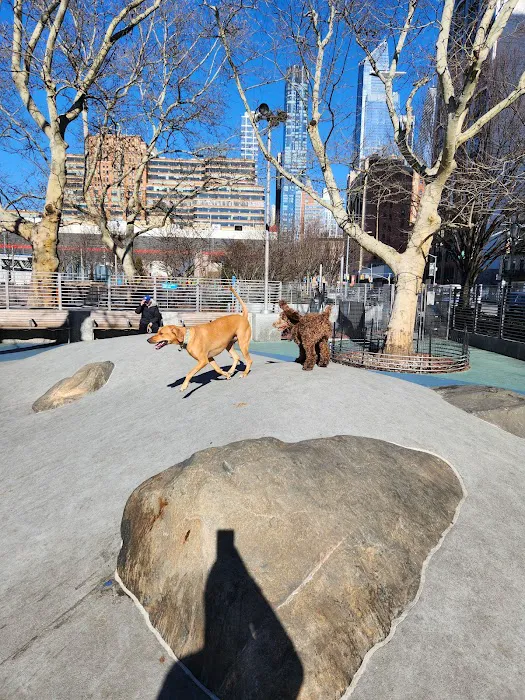 Chelsea Waterside Dog Park Picture 8