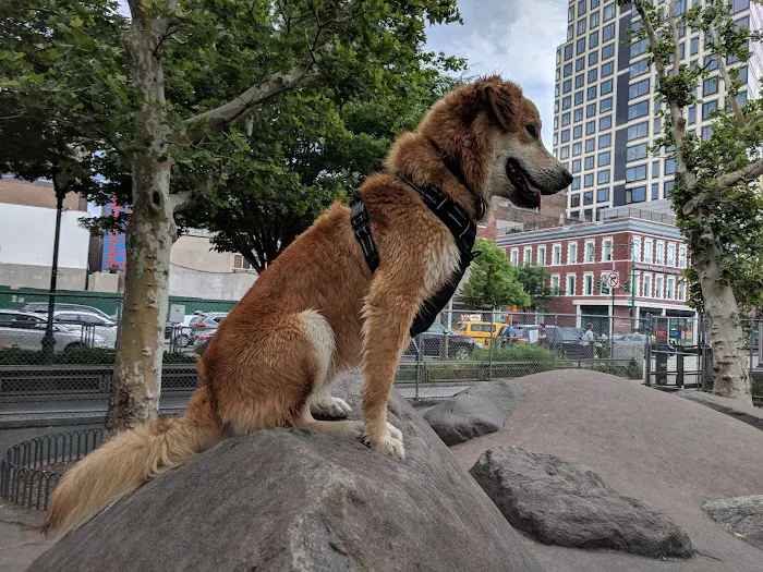 Chelsea Waterside Dog Park Picture 10