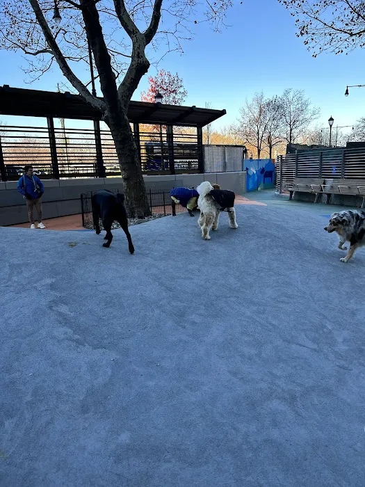 Chelsea Waterside Dog Park Picture 5
