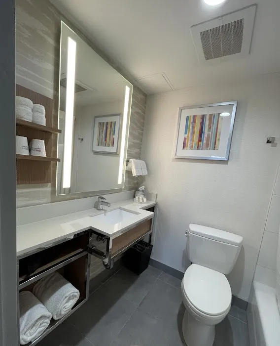 Hilton Garden Inn New York/Manhattan-Chelsea Picture 8