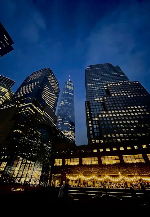 Lower Manhattan Picture 1