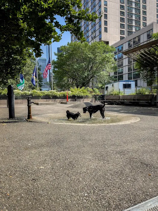 Sirius Dog Run Picture 10