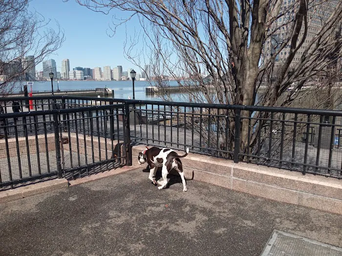 Sirius Dog Run Picture 9