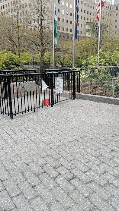 Sirius Dog Run Picture 3