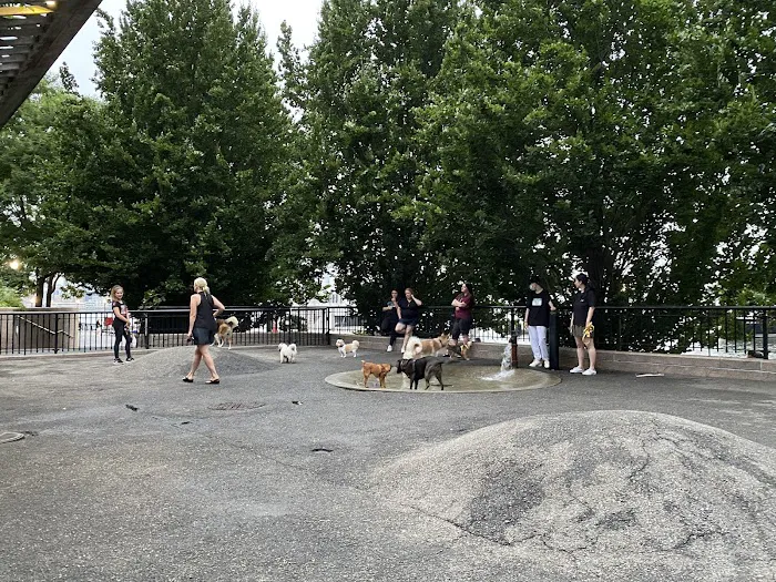 Sirius Dog Run Picture 8