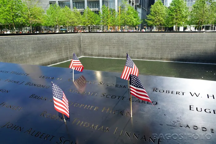 South Tower Pool Picture 5