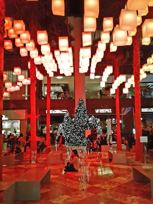 Winter Garden Picture 9