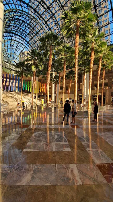 Winter Garden Picture 8