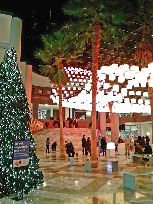 Winter Garden Picture 7