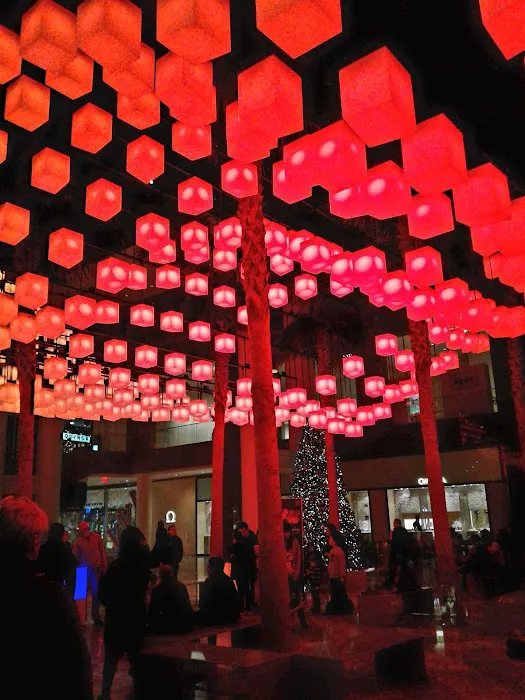 Winter Garden Picture 6