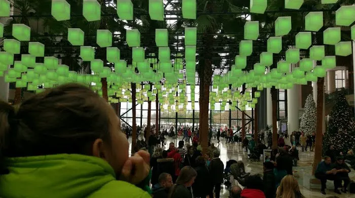 Winter Garden Picture 5