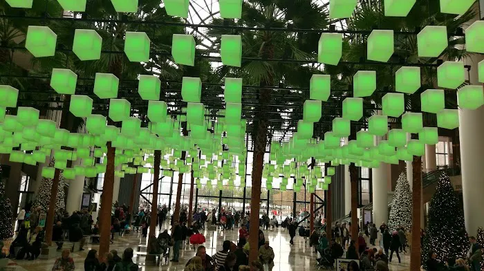 Winter Garden Picture 4