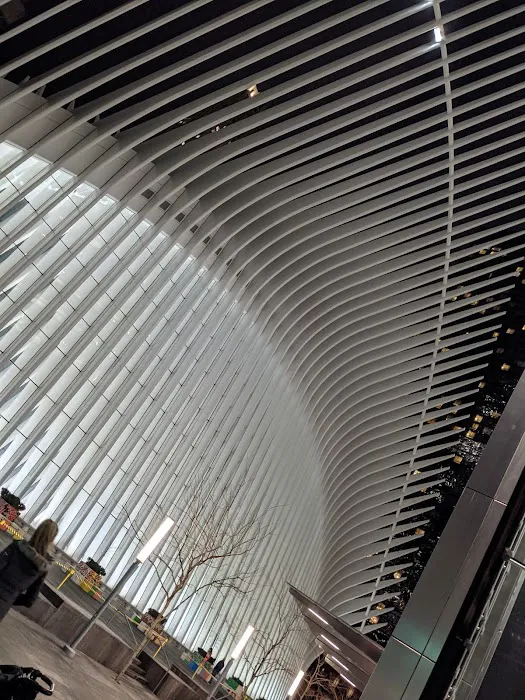 Belvedere Plaza Picture 2