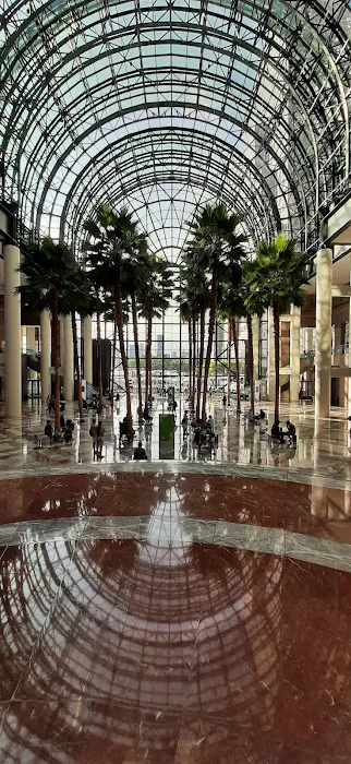 Belvedere Plaza Picture 6