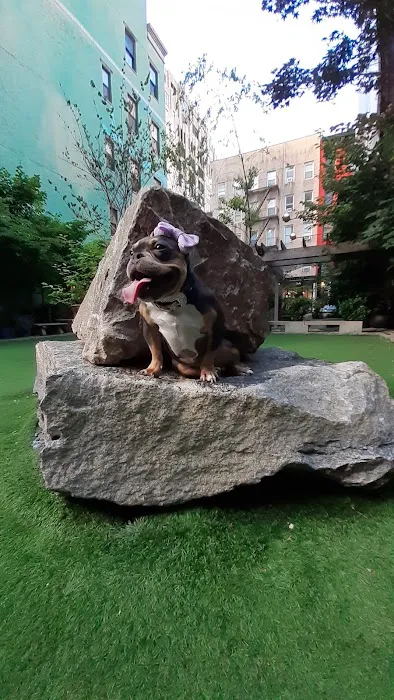 Soho Grand Private Dog Park Picture 3