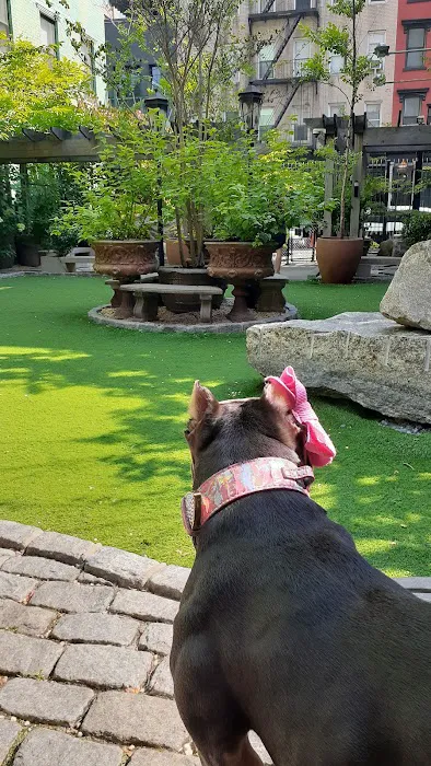 Soho Grand Private Dog Park Picture 5