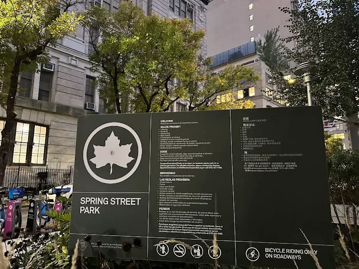Spring Street Park Picture 2