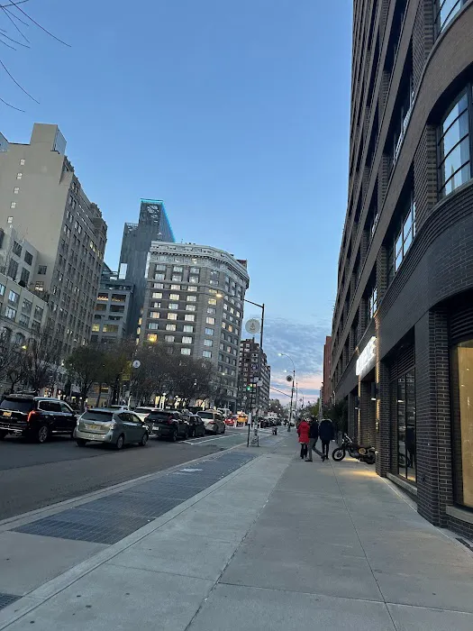 Spring Street Park Picture 5