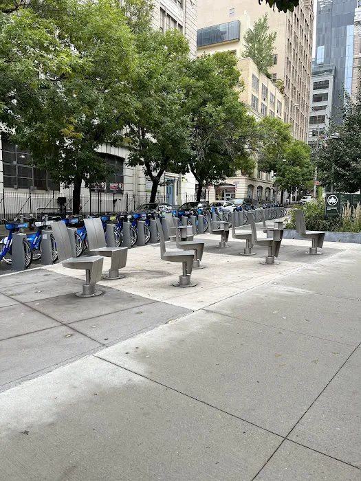 Spring Street Park Picture 6
