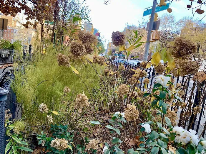 Bedford Triangle Park Picture 5