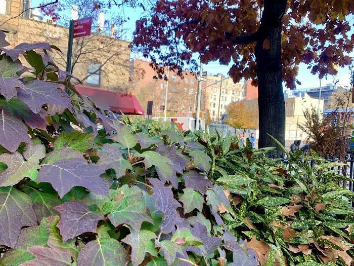 Bedford Triangle Park Picture 9