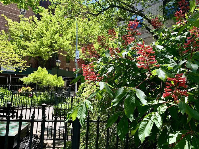 Bedford Triangle Park Picture 7
