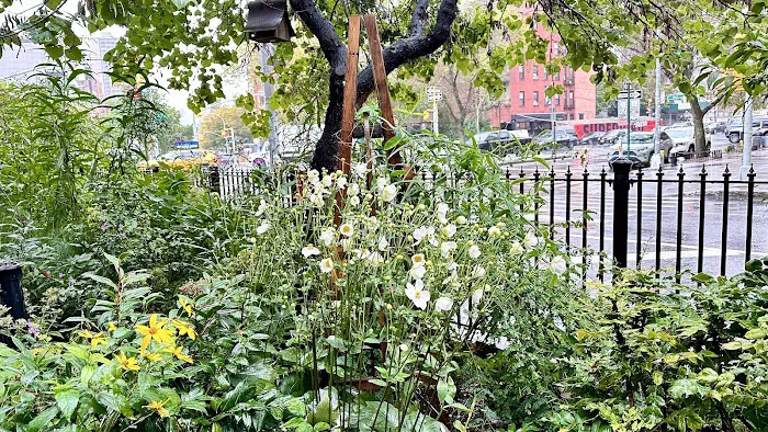 Bedford Triangle Park Picture 2