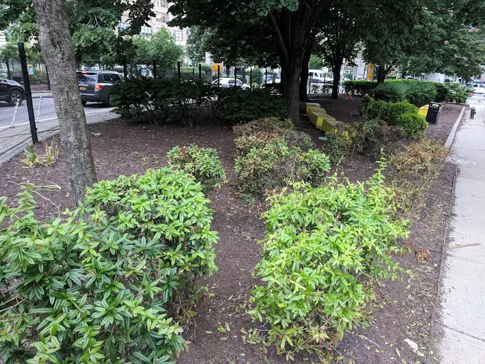 Freeman Plaza North Picture 3