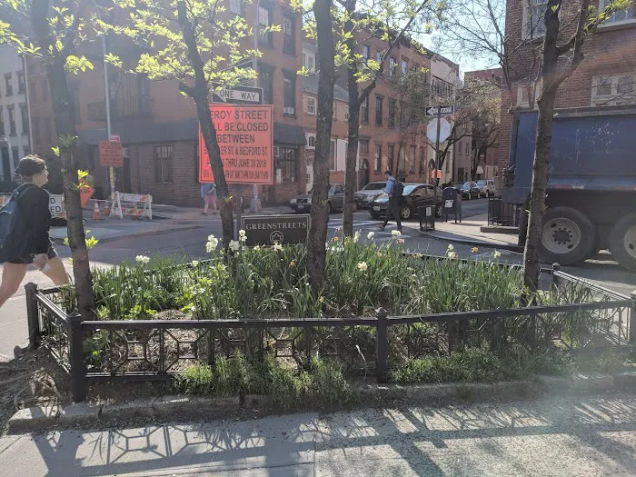 Greenstreets Birdbath Garden Picture 2