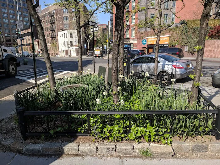 Greenstreets Birdbath Garden Picture 5