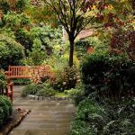 St Luke in the Fields Garden
