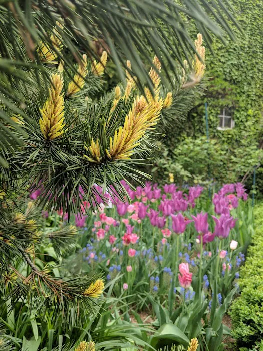 St Luke in the Fields Garden Picture 10