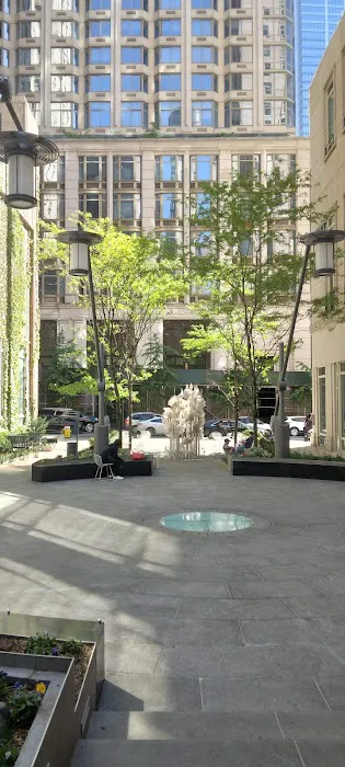 Four Seasons Private Residences New York, Downtown Picture 7
