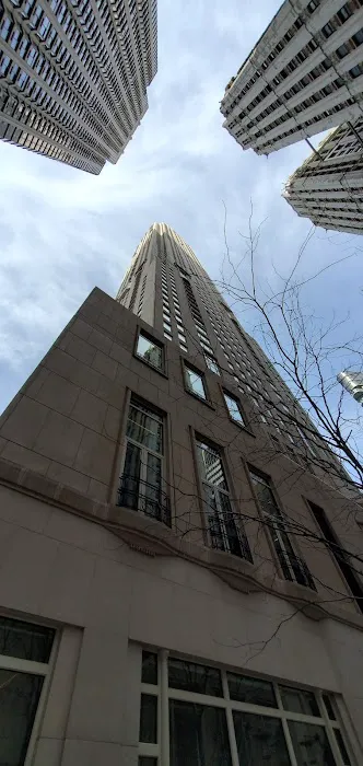 Four Seasons Private Residences New York, Downtown Picture 9