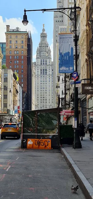 Bogardus Plaza Picture 8