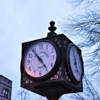 L. RON HUBBARD PARK ico