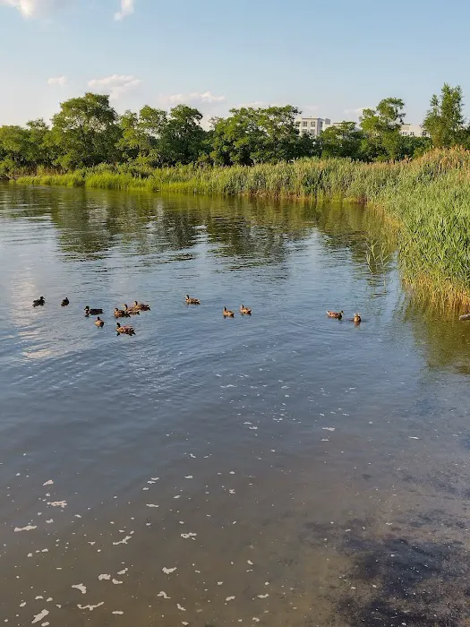 Richard A. Rutkowski Park Picture 9