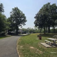 Mercer Park ico
