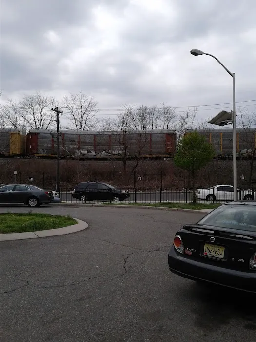 Mercer Park Picture 9