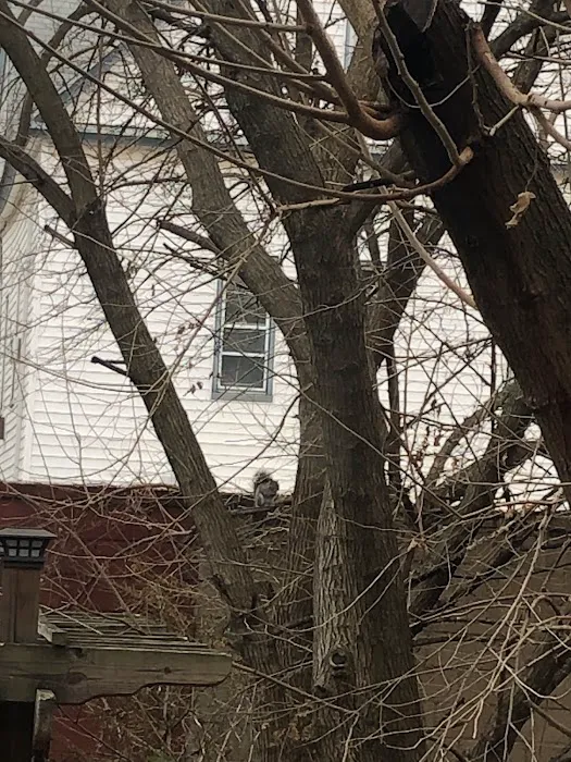 Jersey City Parks & Forestry Picture 8