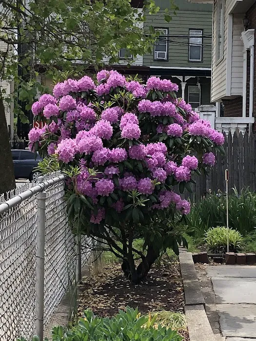 Jersey City Parks & Forestry Picture 10