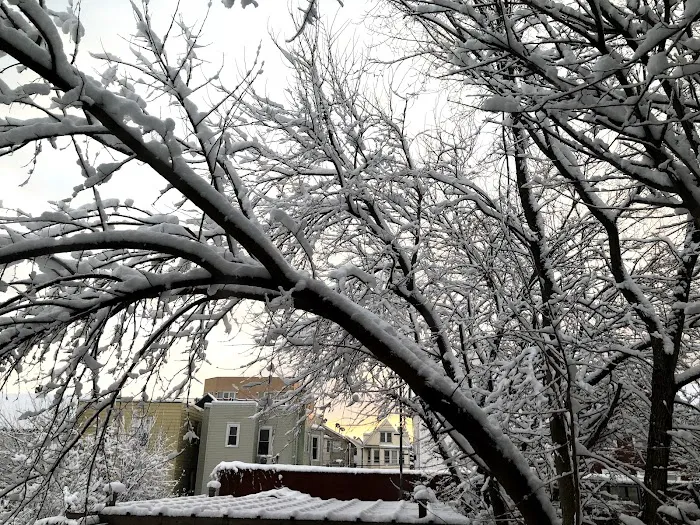Jersey City Parks & Forestry Picture 9