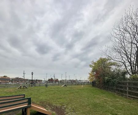 Civic Center Dog Park