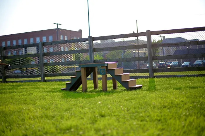 Civic Center Dog Park Picture 6
