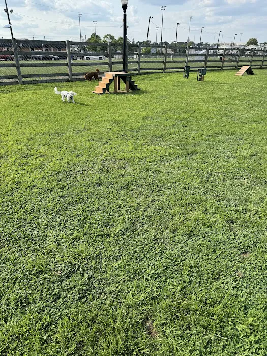 Civic Center Dog Park Picture 10