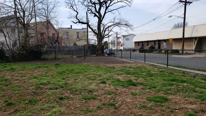 Bark Park Picture 3