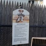 Bark Park