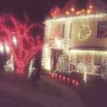 New Dorp Park