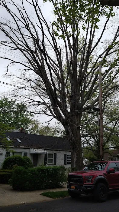 New Dorp Park Picture 3